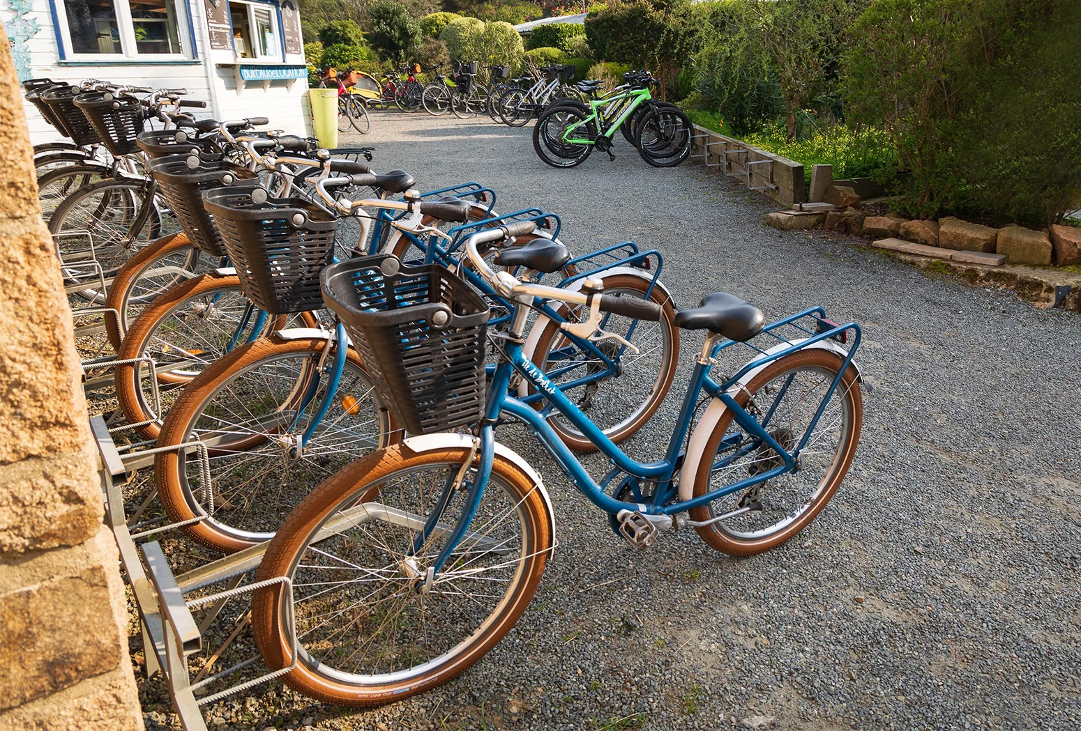 velos classiques